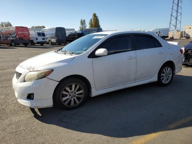 2010 Toyota Corolla Base