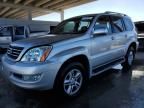 2006 Lexus GX 470