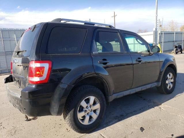 2010 Ford Escape Limited