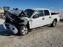 Salvage cars for sale at Arcadia, FL auction: 2013 Ford F150 Supercrew