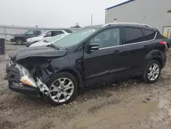 Salvage cars for sale at Appleton, WI auction: 2015 Ford Escape Titanium