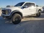 2023 Ford F150 Raptor