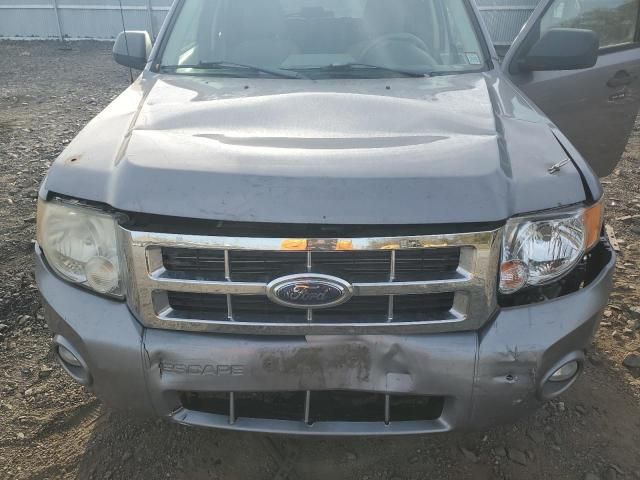 2008 Ford Escape XLT