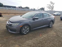 Salvage cars for sale at American Canyon, CA auction: 2016 Honda Civic LX