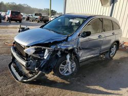 Honda salvage cars for sale: 2010 Honda CR-V EXL