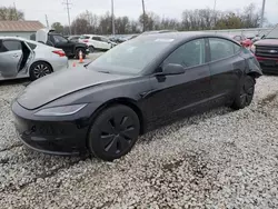 Salvage cars for sale at Columbus, OH auction: 2024 Tesla Model 3