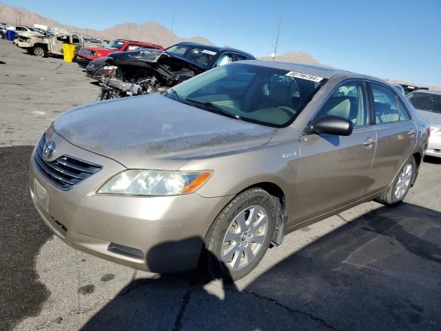 2009 Toyota Camry Hybrid