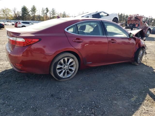 2014 Lexus ES 300H