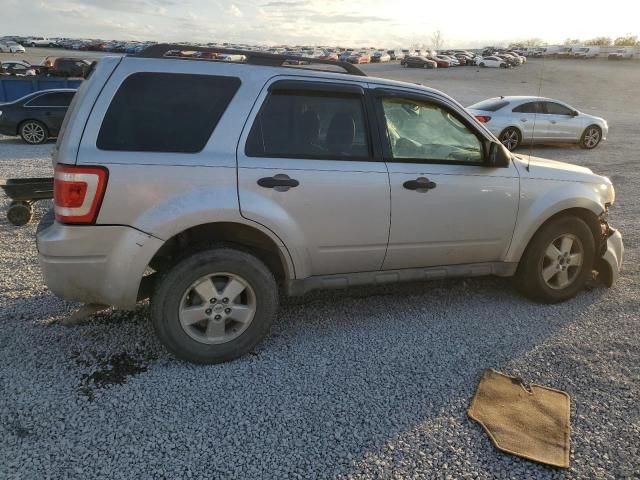 2009 Ford Escape XLT