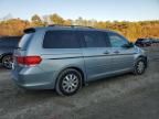 2008 Honda Odyssey EXL