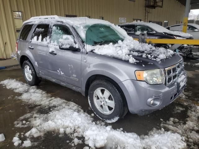 2008 Ford Escape XLT