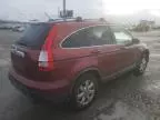 2007 Honda CR-V EXL