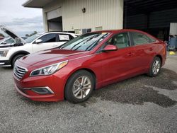 Salvage cars for sale at Orlando, FL auction: 2016 Hyundai Sonata SE