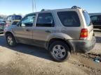 2007 Ford Escape XLT