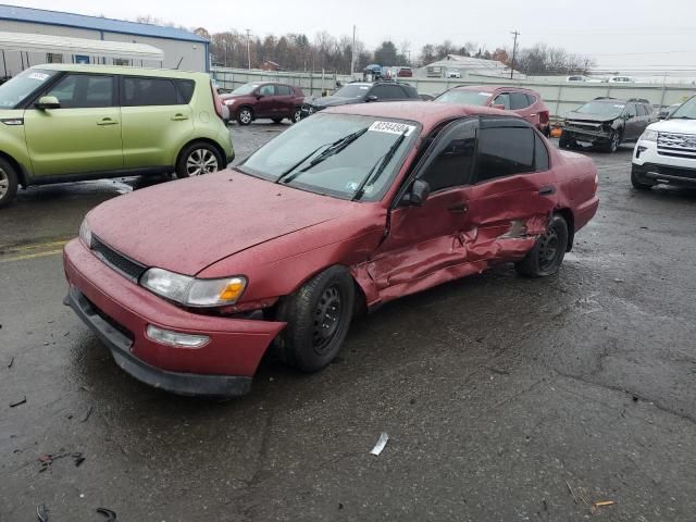 1996 Toyota Corolla