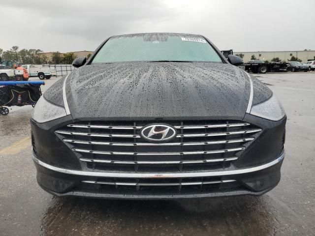 2023 Hyundai Sonata Hybrid