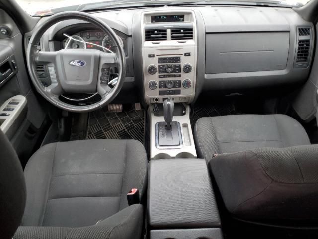 2009 Ford Escape XLT