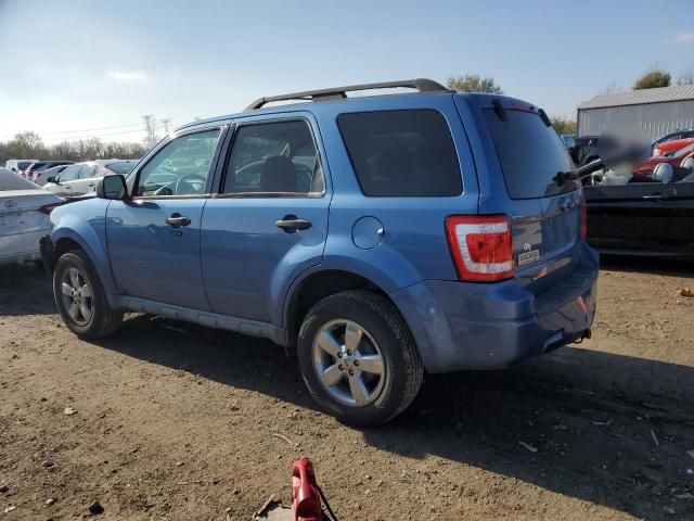 2009 Ford Escape XLT