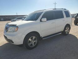 Honda salvage cars for sale: 2013 Honda Pilot EXL