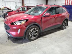 Ford salvage cars for sale: 2020 Ford Escape SEL