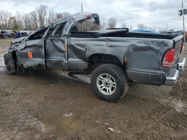 2004 Dodge Dakota SLT