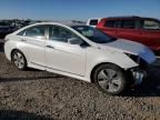 2013 Hyundai Sonata Hybrid