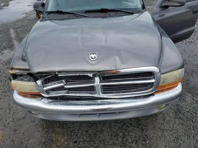 2004 Dodge Dakota SLT