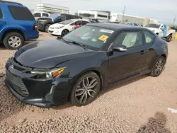 Scion Vehiculos salvage en venta: 2016 Scion TC