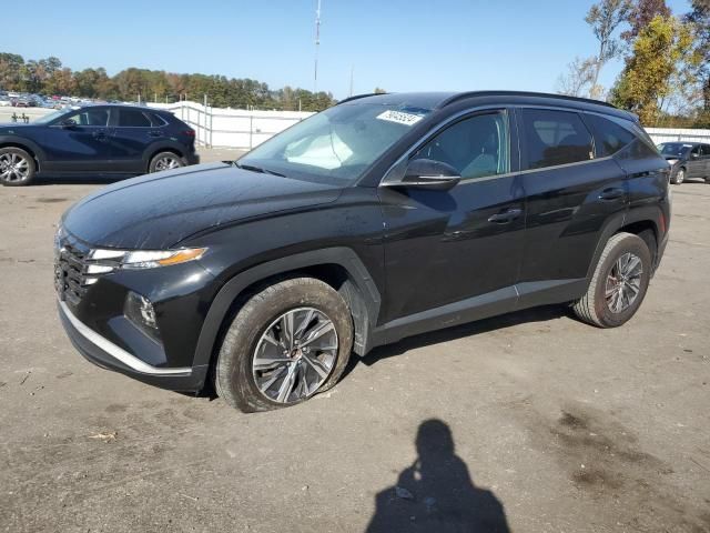 2022 Hyundai Tucson Blue