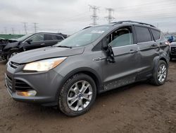 Ford Escape sel salvage cars for sale: 2013 Ford Escape SEL