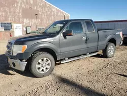 Ford salvage cars for sale: 2014 Ford F150 Super Cab