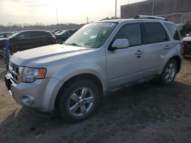 2009 Ford Escape Limited