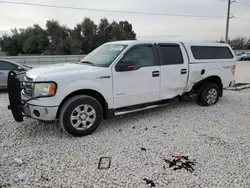 Salvage trucks for sale at Temple, TX auction: 2013 Ford F150 Supercrew