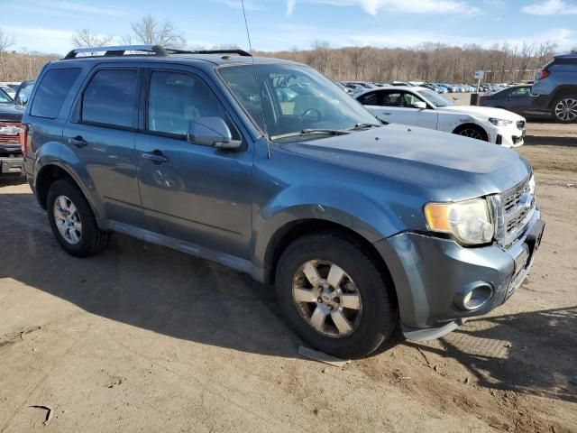 2010 Ford Escape Limited