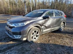 Salvage cars for sale at Cookstown, ON auction: 2019 Honda CR-V EXL