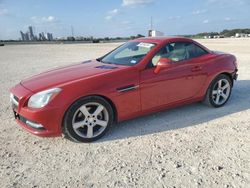 Mercedes-Benz slk-Class salvage cars for sale: 2013 Mercedes-Benz SLK 250