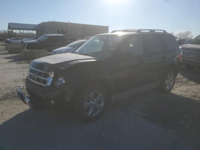 2010 Ford Escape Limited