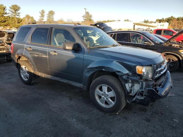 2011 Ford Escape XLT