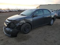 Salvage cars for sale from Copart Rocky View County, AB: 2013 Toyota Corolla Base