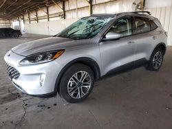 Salvage cars for sale at Phoenix, AZ auction: 2020 Ford Escape SEL