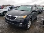 2011 KIA Sorento Base