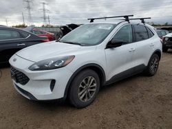 Salvage cars for sale at Elgin, IL auction: 2022 Ford Escape SE