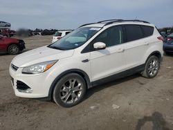 Salvage cars for sale from Copart Fredericksburg, VA: 2013 Ford Escape SEL