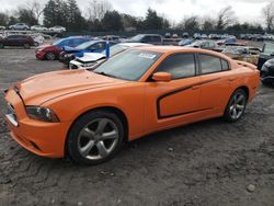 Dodge salvage cars for sale: 2014 Dodge Charger SXT