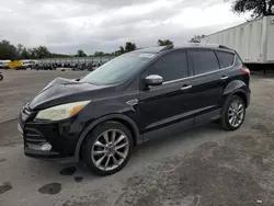 Salvage cars for sale at Orlando, FL auction: 2016 Ford Escape SE