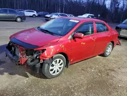 2013 Toyota Corolla Base en venta en Cookstown, ON