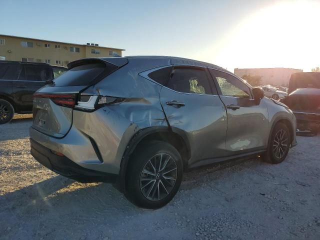 2024 Lexus NX 250 Premium