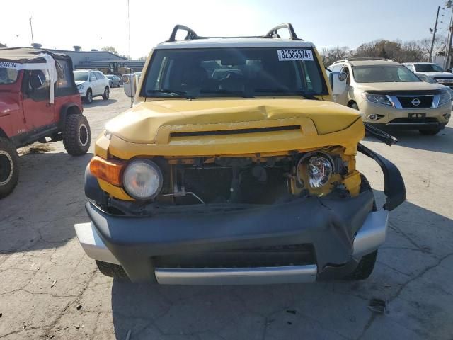 2007 Toyota FJ Cruiser