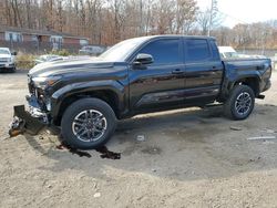 Salvage cars for sale at Baltimore, MD auction: 2024 Toyota Tacoma Double Cab