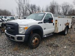 Vehiculos salvage en venta de Copart Avon, MN: 2014 Ford F550 Super Duty